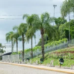 Alameda_23_de_novembro_de_2022_Samuel_Maciel_64_09ba9079a4