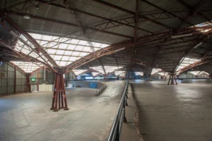 Pavilhoes_23_de_novembro_de_2022_Samuel_Maciel_43_ed1b6ca8a3
